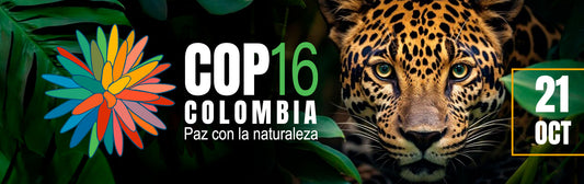 COP 16 La moda Sostenible en el evento más Importante sobre el cuidado del Medio Ambiente